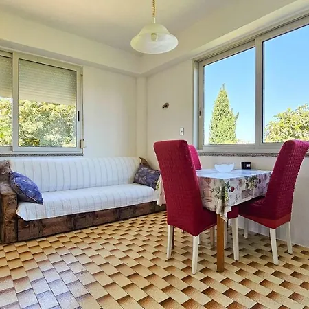 Davor 1 * داجلة